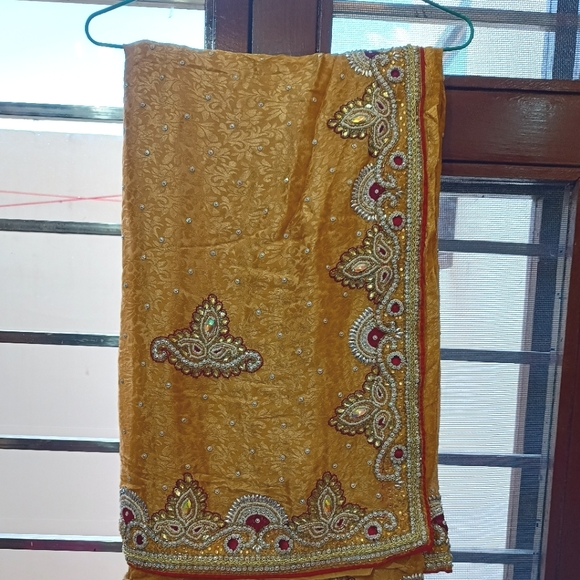 Other - Silk shiny embroidery saree